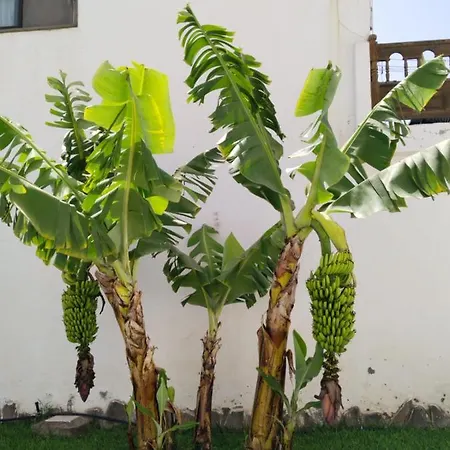 2 Costa Del Silencio Apartamento Trilly Appartement